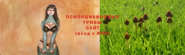 ECSTASY Абинск