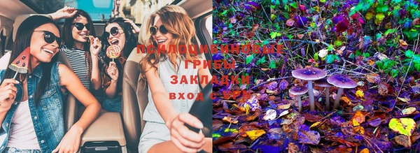ECSTASY Абинск