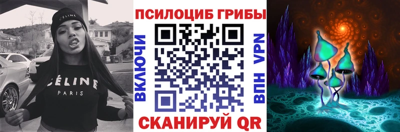 Псилоцибиновые грибы Cubensis  Таштагол 